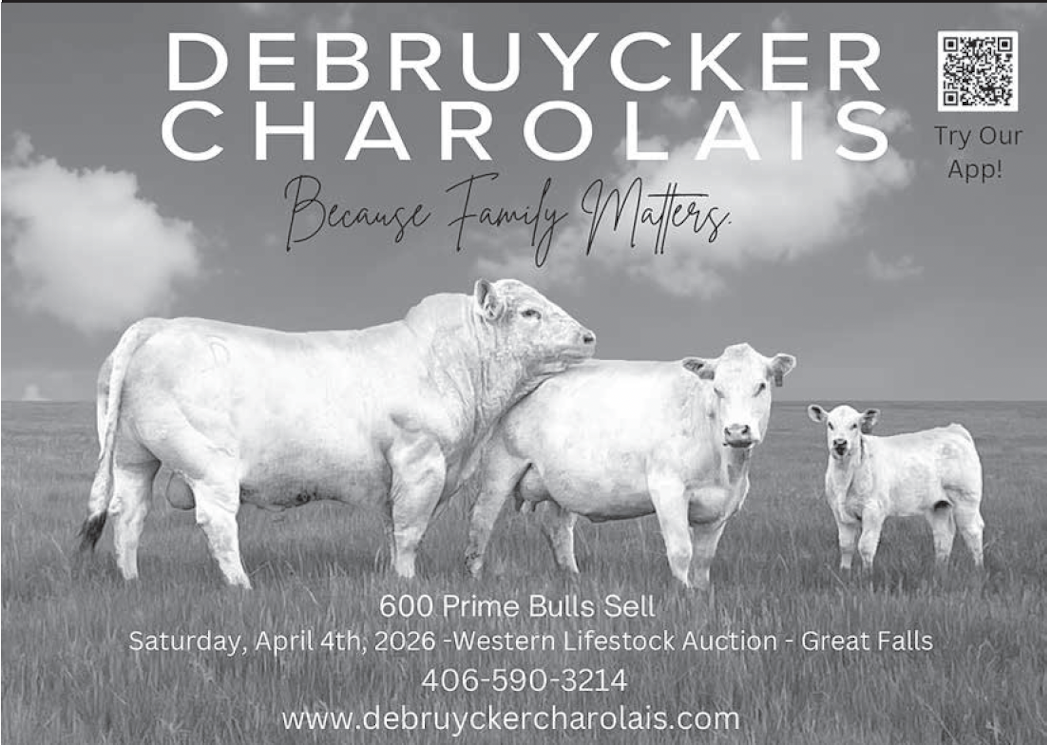 DEBRUYCKER CHAROLAIS